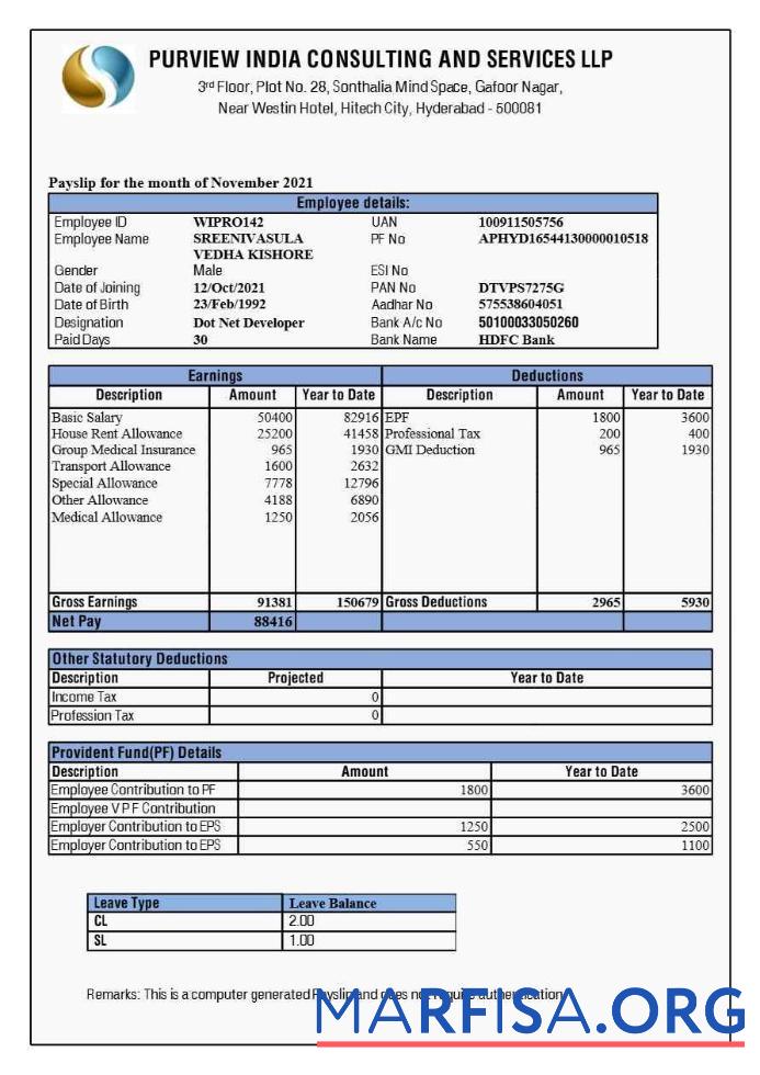 Blank Purview India Consulting and Services payslip sample